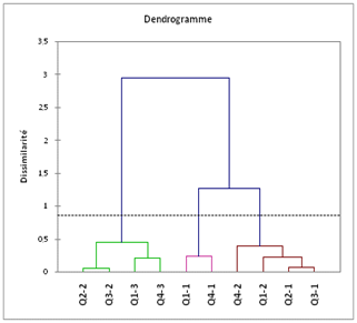 Dendrogramme