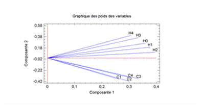 Facteur taille Statgraphics