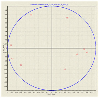 cercle