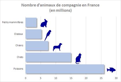 graphe visuel