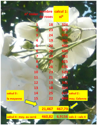 calcul avec méthode de König