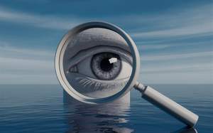 surveillance