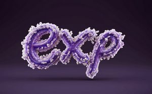 exp