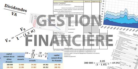 gestion financière