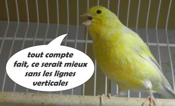 lignes vericales