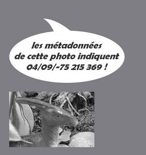 métadonnées exif