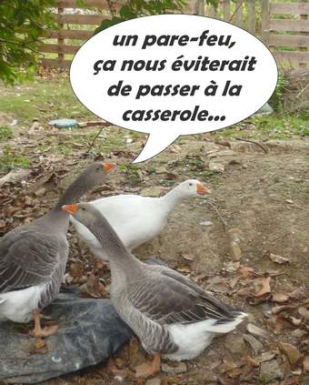 pare-feu