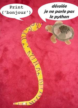 python et tortue