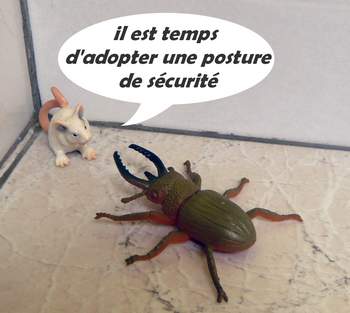 posture de sécurité