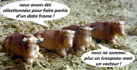 vaches data frame