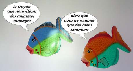 biens communs