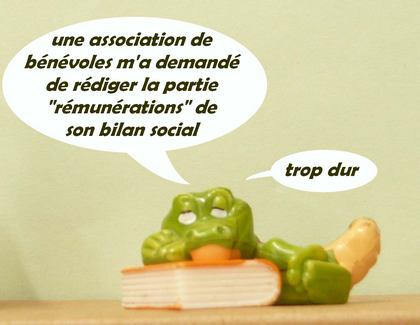 rémunérations au bilan social