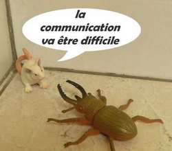 communication difficile