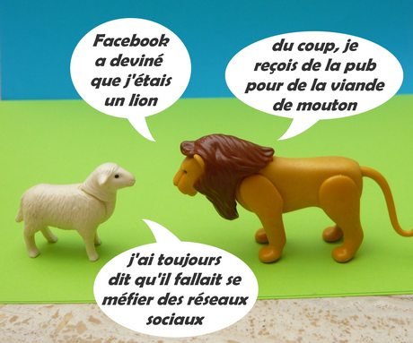 réseaux sociaux