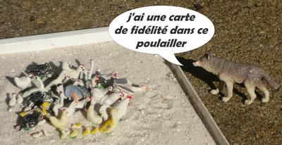fidélisation