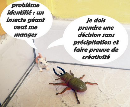 décision à prendre