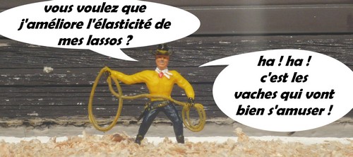 élasticité du lasso