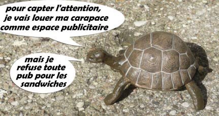 tortue