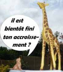 accroissement