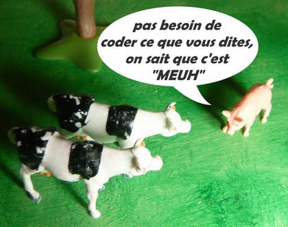 vaches