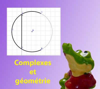 complexes et géométrie