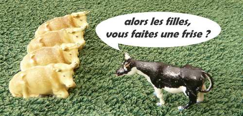 frise