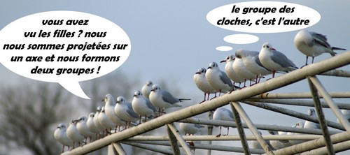 mouettes sur axe