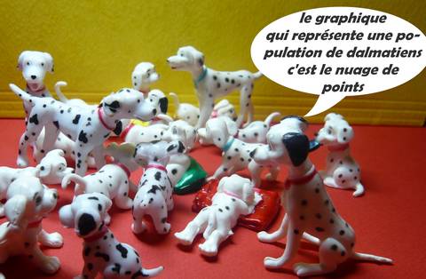 dalmatiens