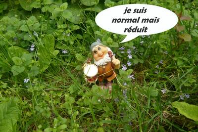 réduit