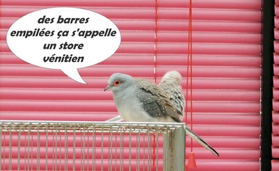 barres empilées