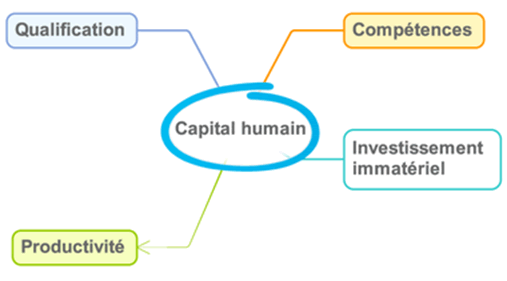 capital humain