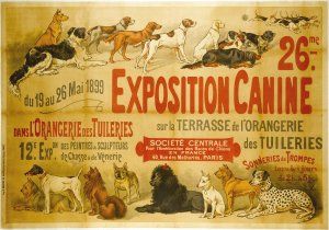 expo canine