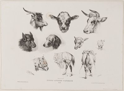 lithographie d'animaux