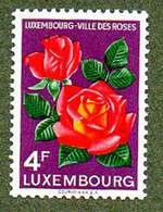 roses