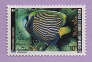 poisson