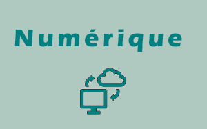 index numérique
