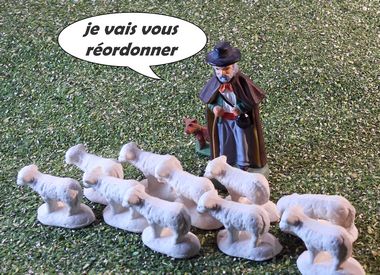 réordonner des moutons