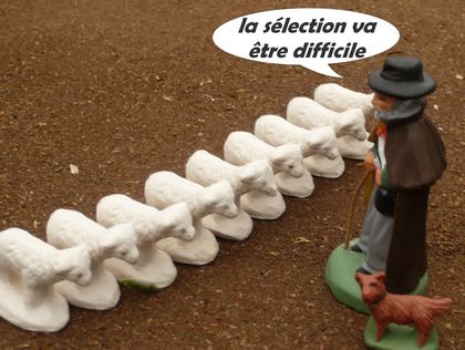 sélection