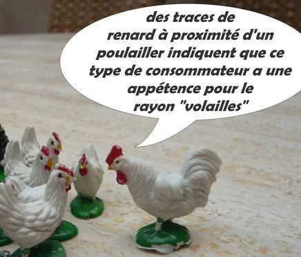 traces